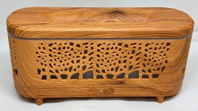 مبخرة عصرية